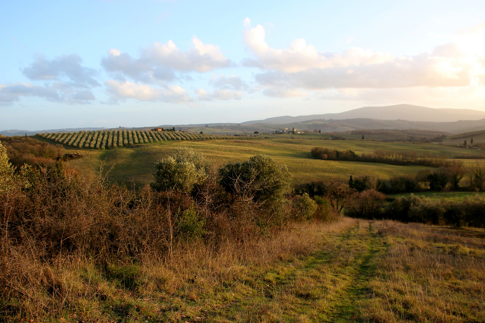 Weg in die Landschaft