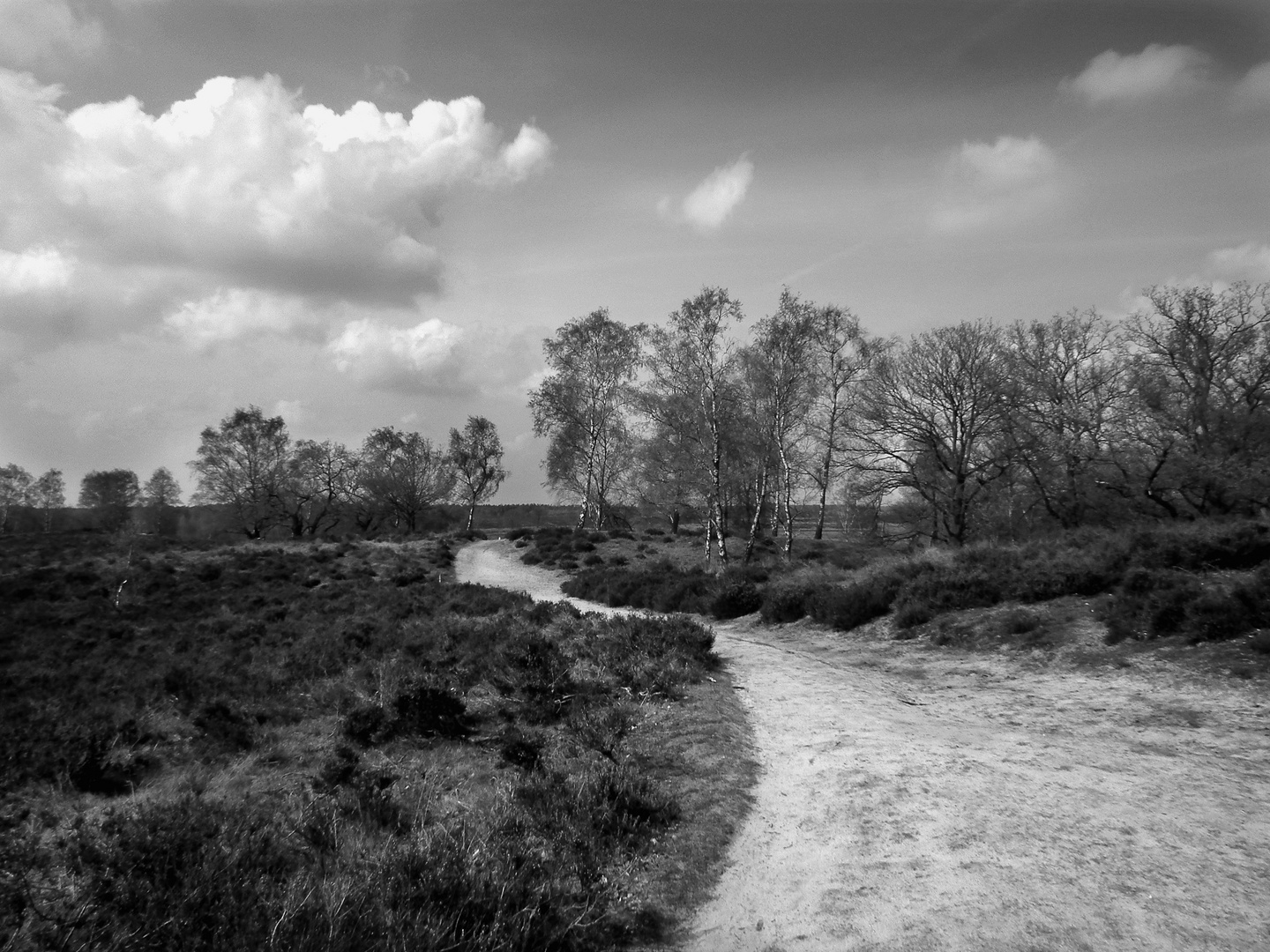 Weg in die Natur