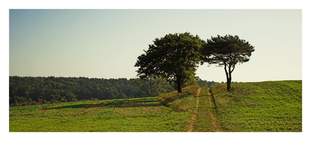 Weg in die Natur