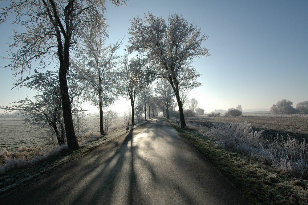 Weg in die Sonne