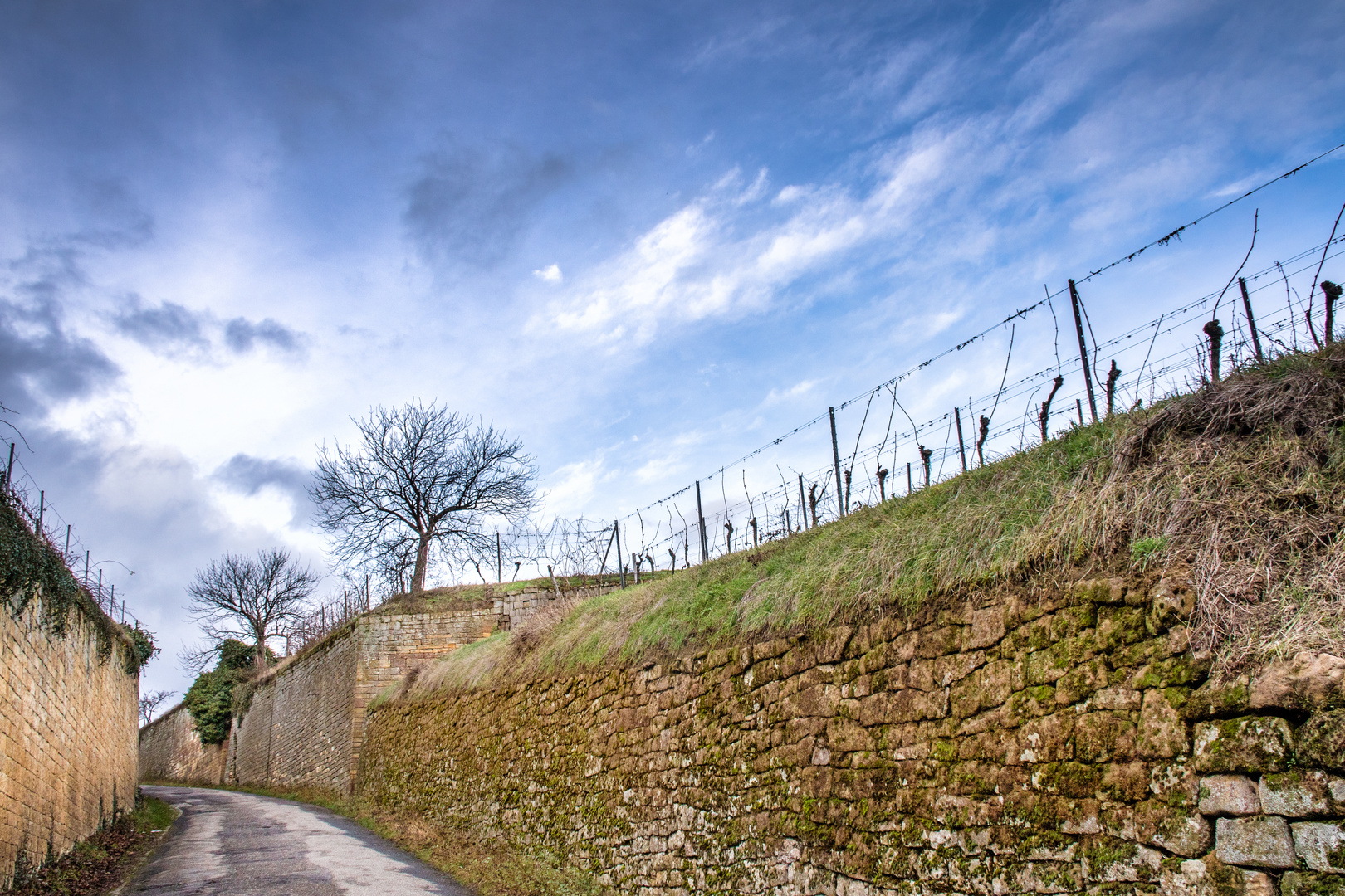 Weg in die Weinberge