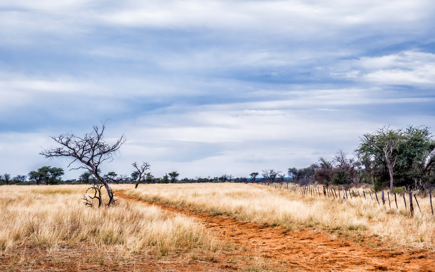 Weg in die Weite der Kalahari