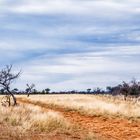 Weg in die Weite der Kalahari