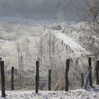 Weg in die Wiese