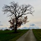 Weg in die Wolken