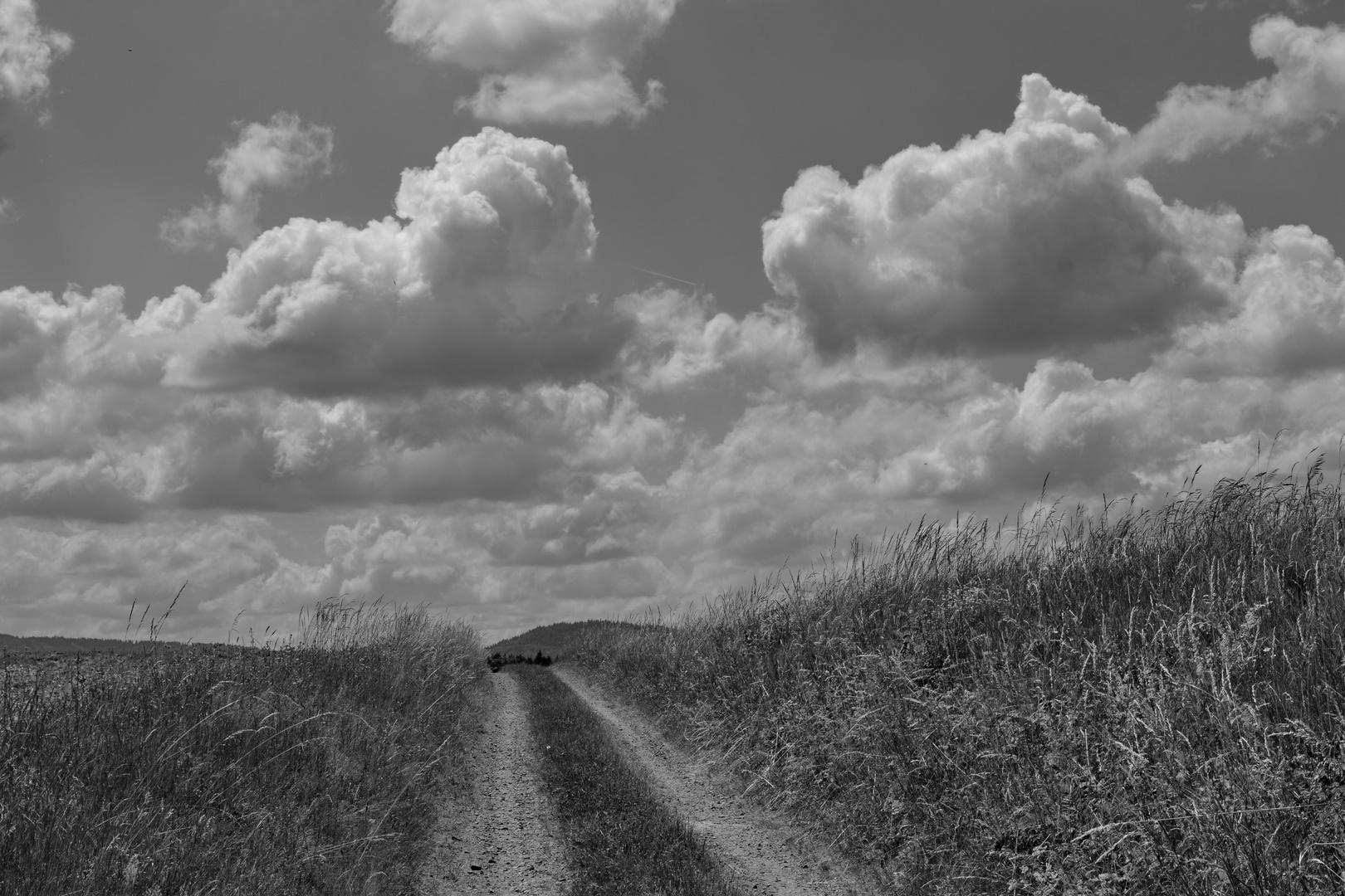 Weg in die Wolken