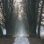 Weg in einem Naturschutzgebiet