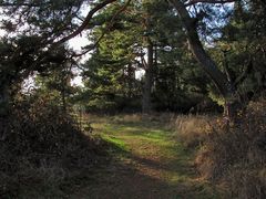 Weg in einem Naturschutzgebiet