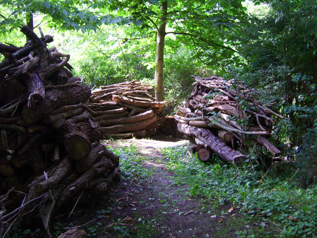 Weg in meinen Garten