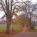 Weg in Richtung Kellerswald !