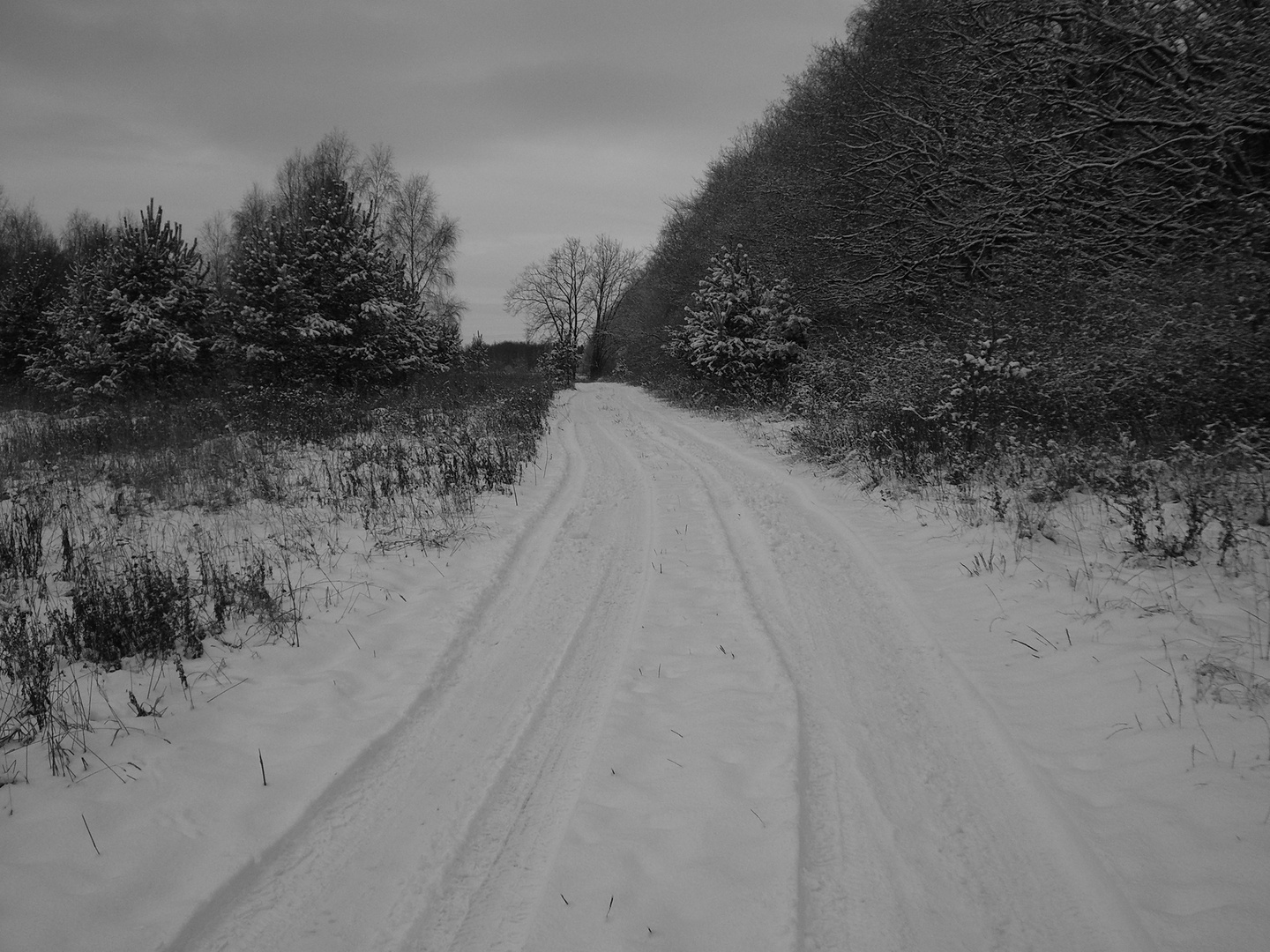 Weg in schwarz-weiß