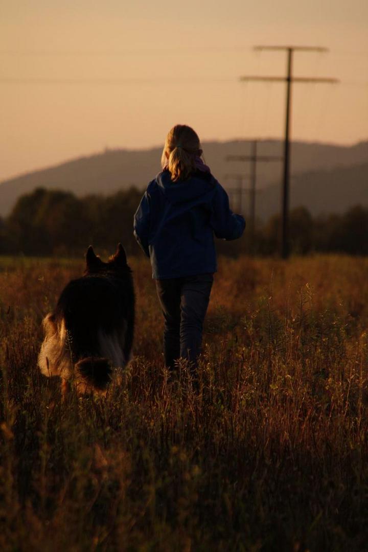 Weg ins Abendlicht