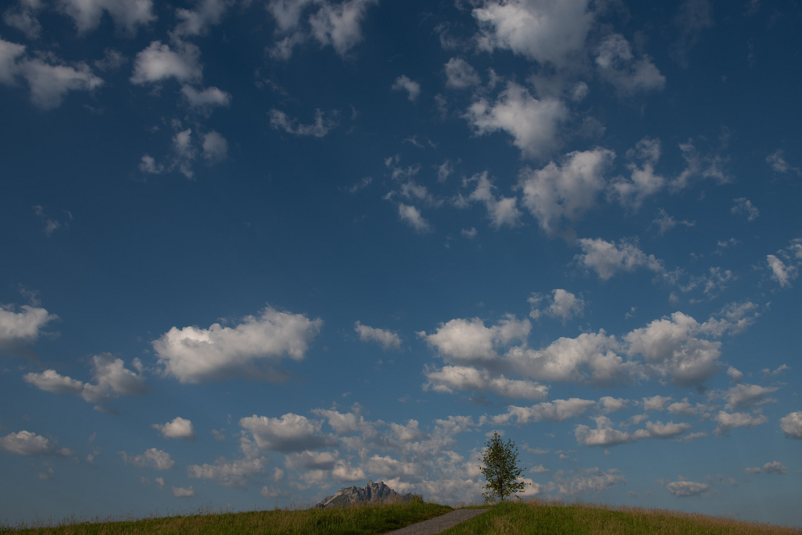 Weg ins Blaue