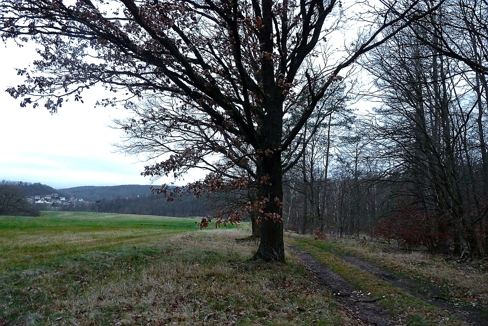 Weg ins Dorf