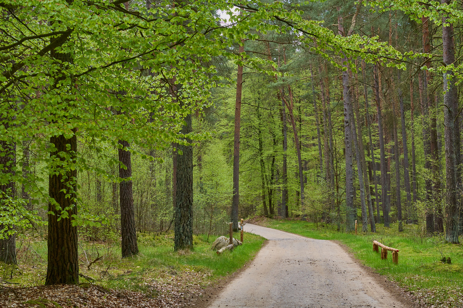 Weg ins Grün