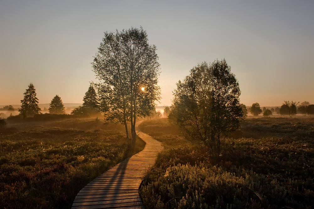 Weg ins Licht