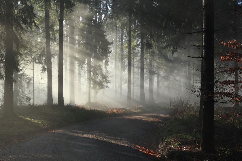 Weg ins Licht