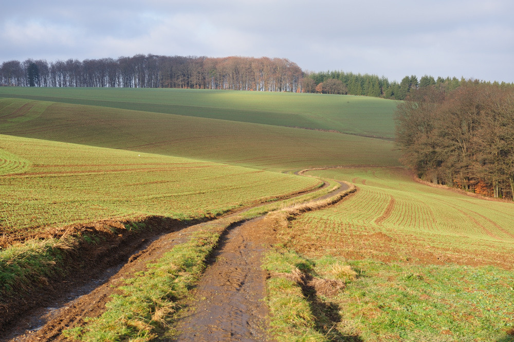 Weg ins Licht -2- (in Farbe)