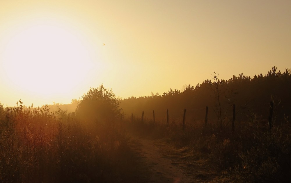 weg ins licht