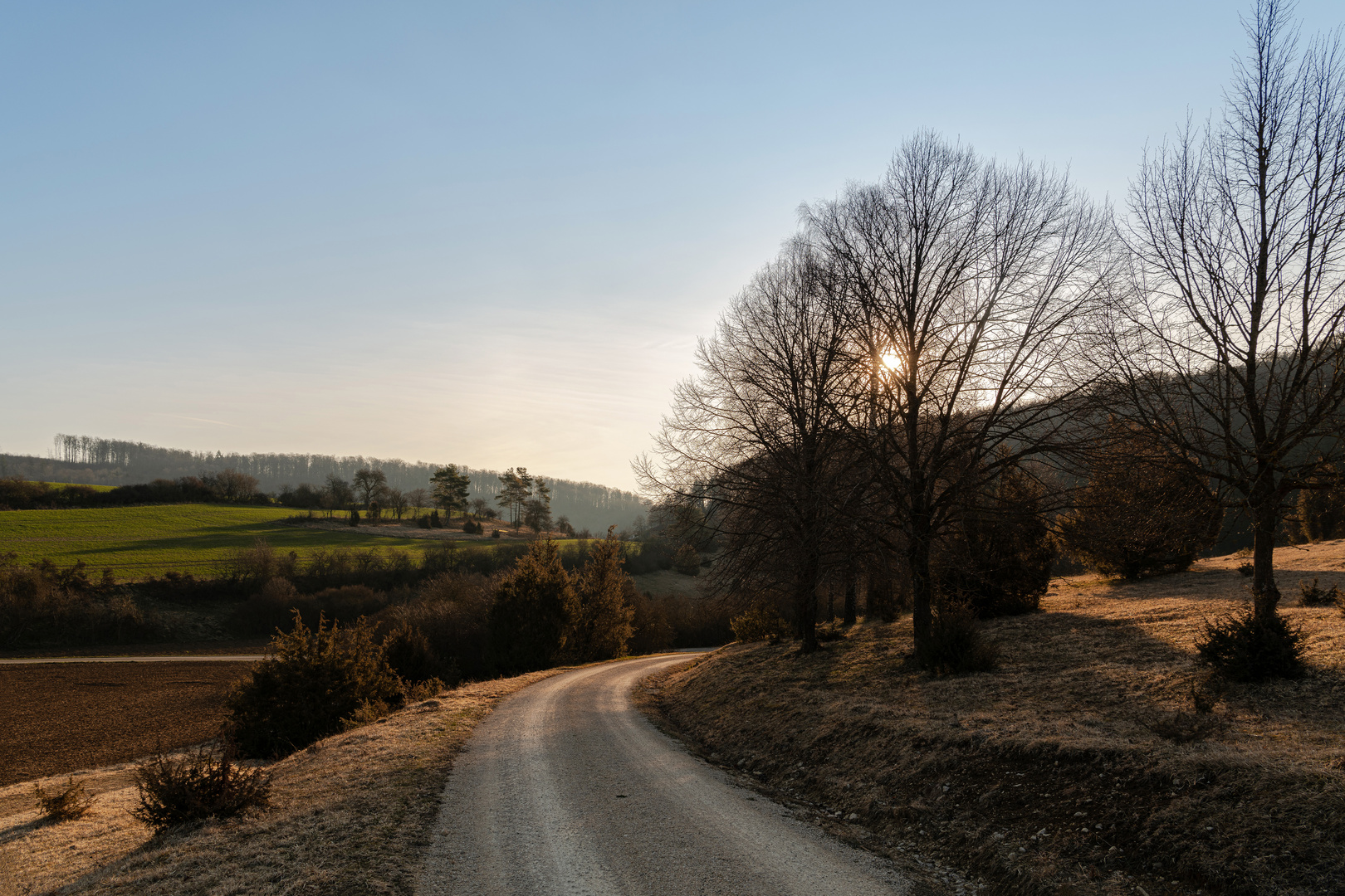 Weg ins Licht