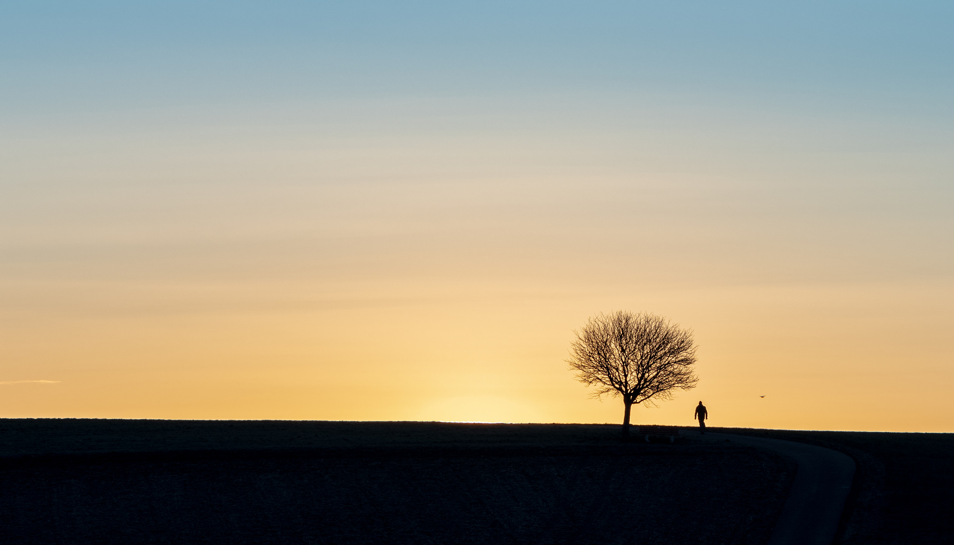 Weg ins Licht