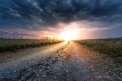 Weg ins Licht