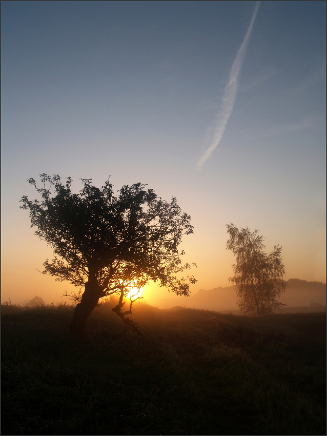 [weg ins licht]