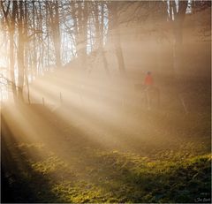 Weg ins Licht