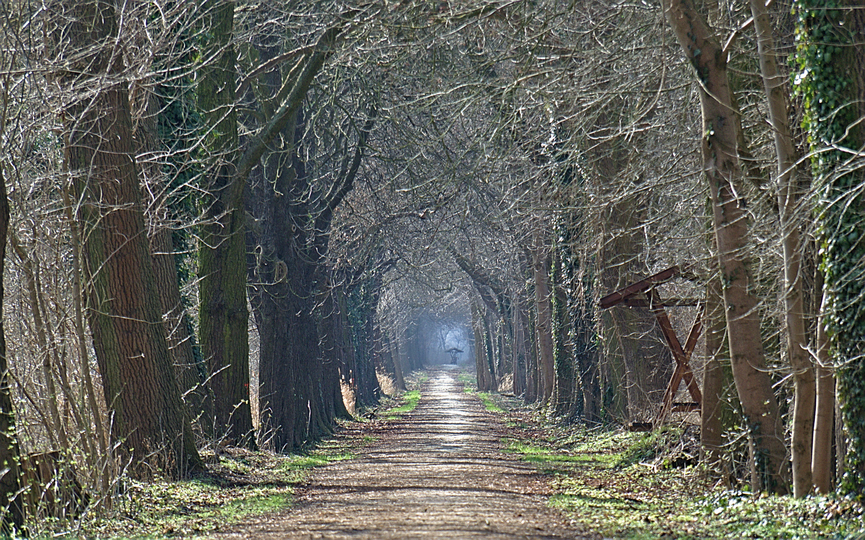 Weg ins Licht