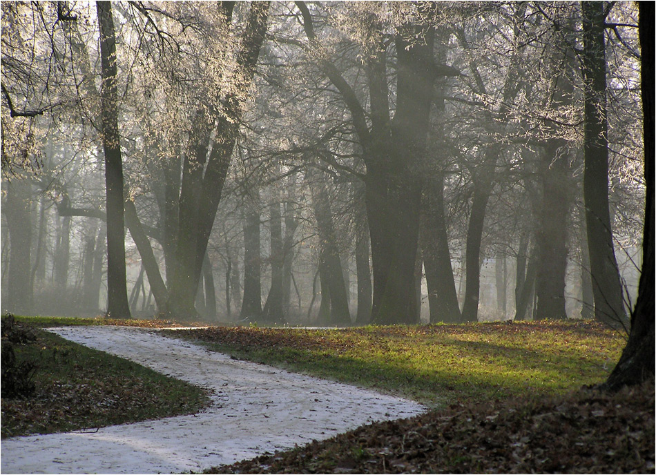 Weg ins Licht