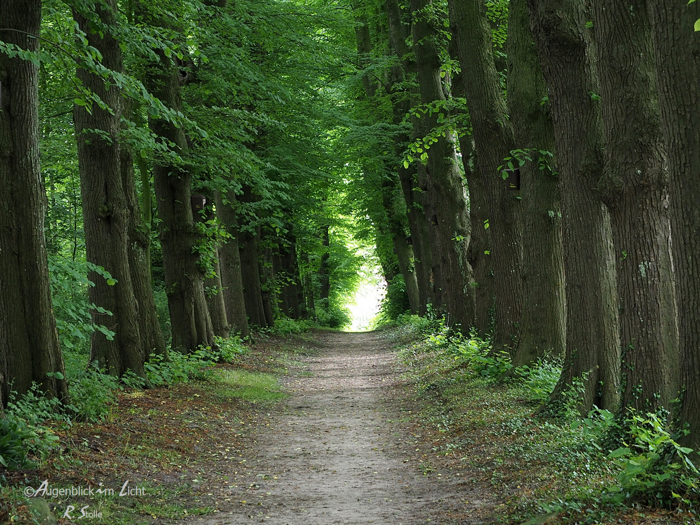 Weg ins Licht