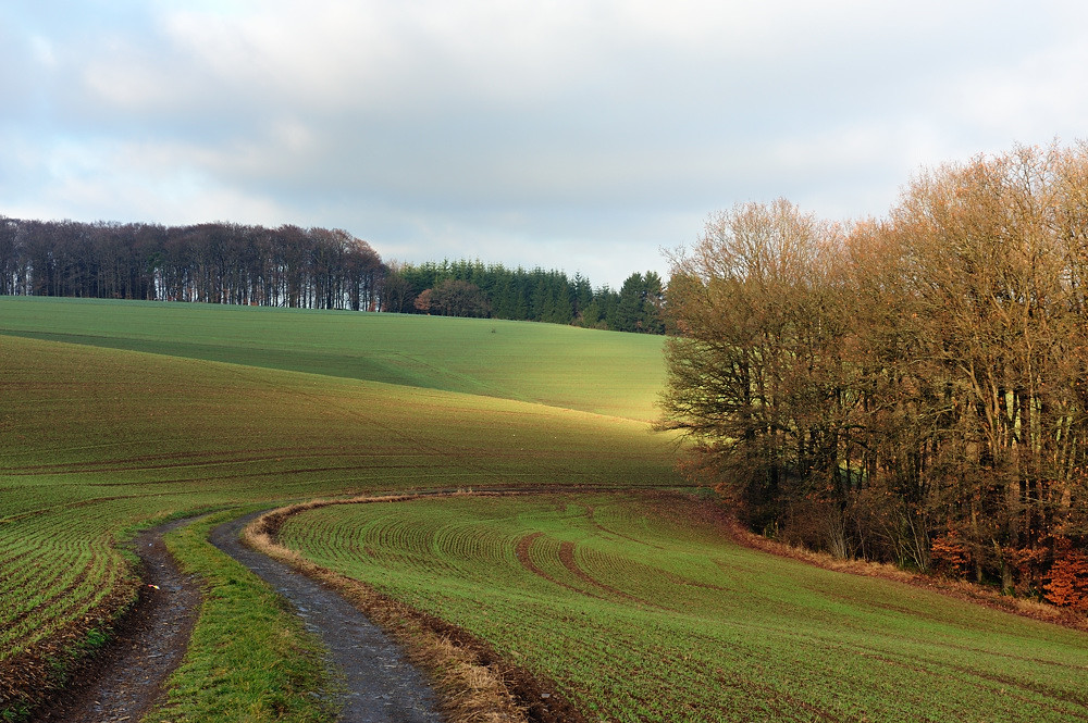 Weg ins Licht (in Farbe)