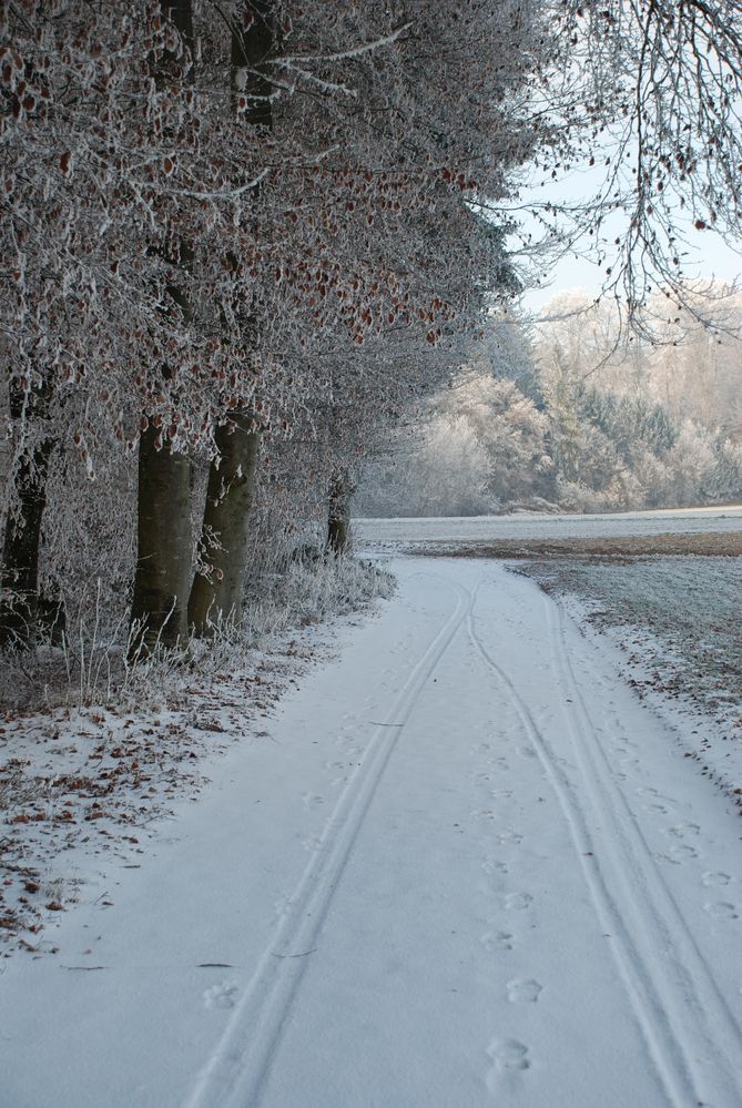 Weg ins Märchenreich von Väterchen Frost