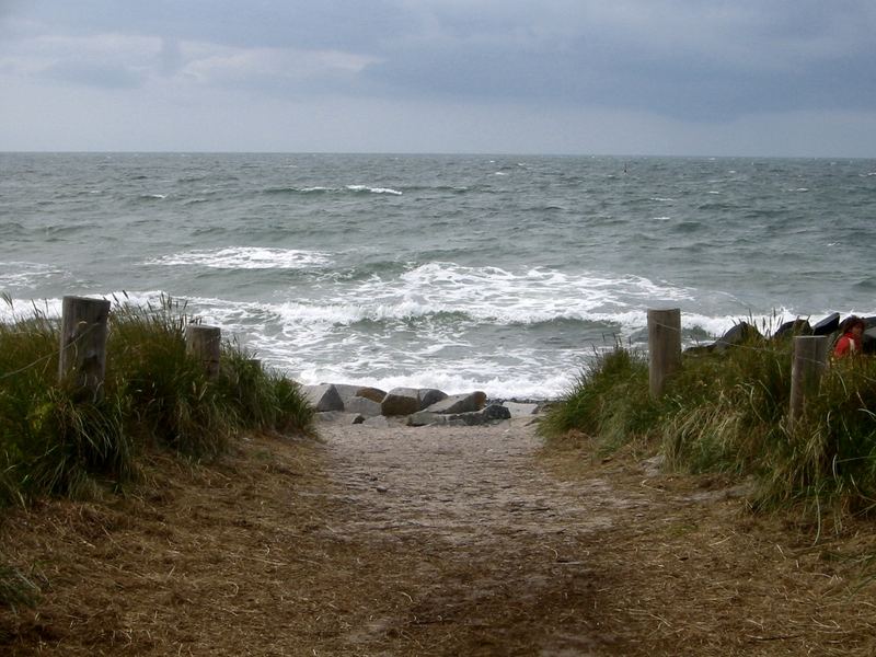 Weg ins Meer