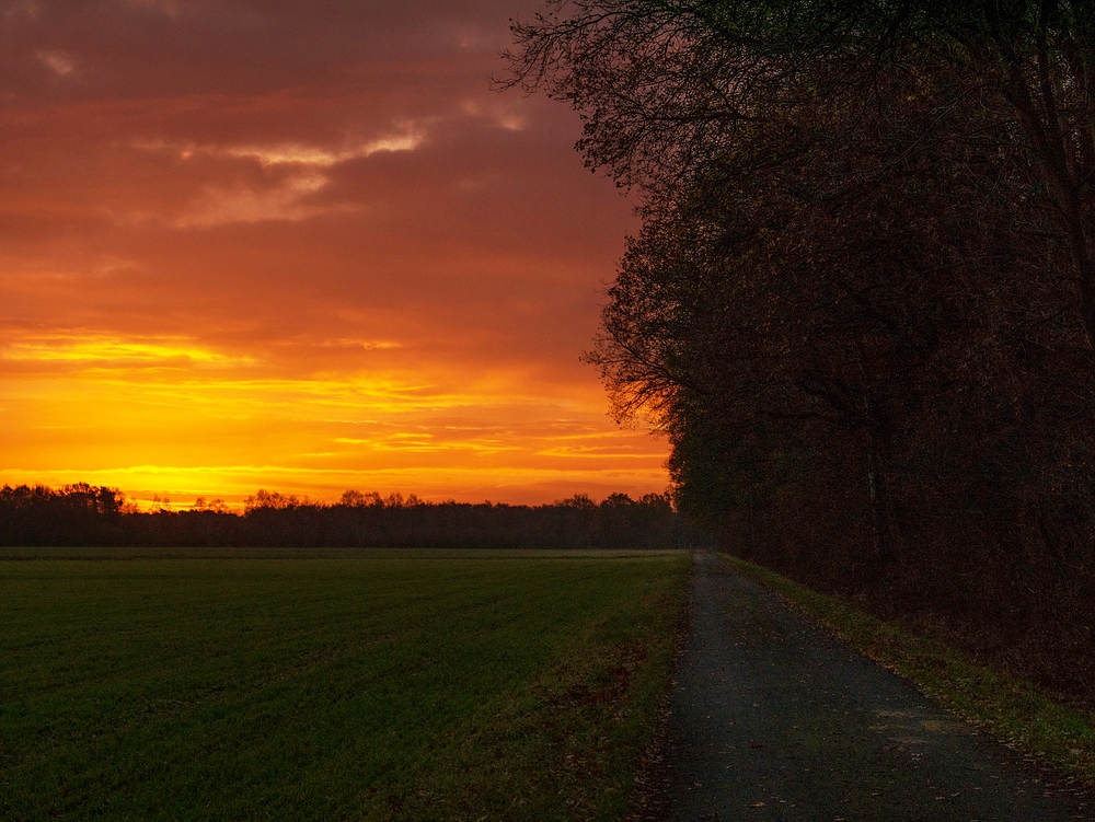 Weg ins Morgenrot