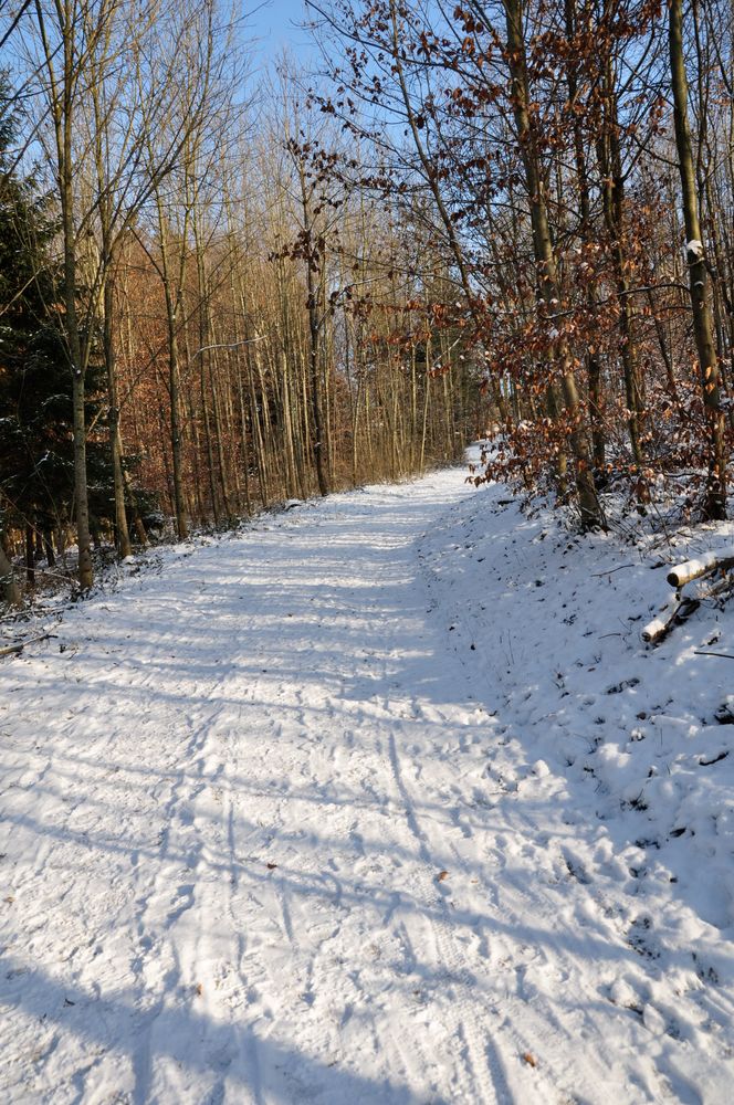 Weg ins neue Jahr