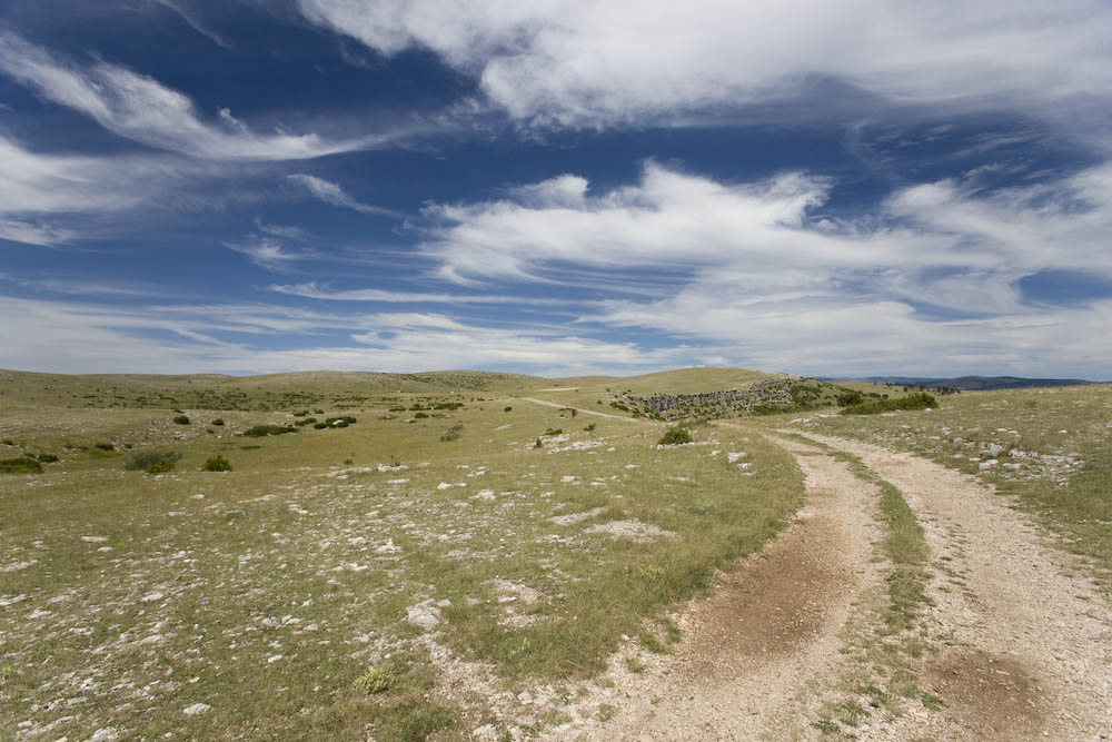 Weg ins Nichts - Causse Méjan