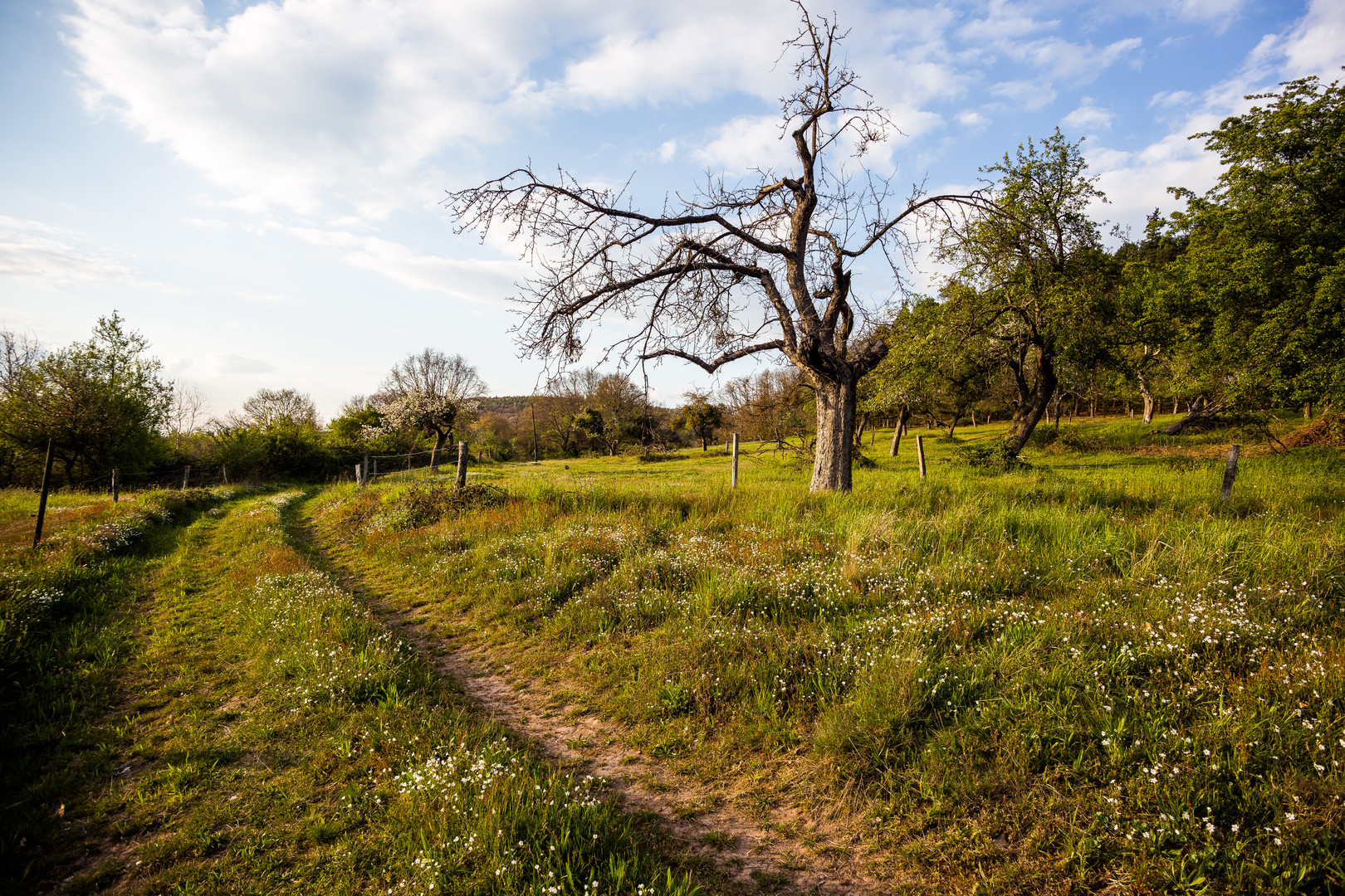 Weg ins Tal