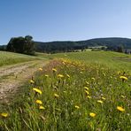 Weg mit Blümchen