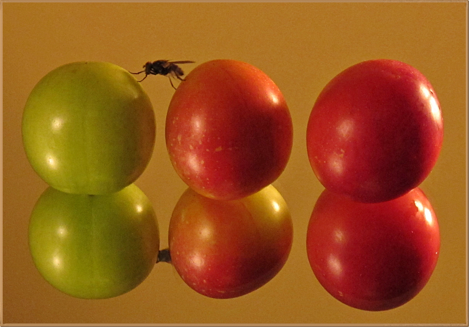 weg mit der unreifen Frucht!