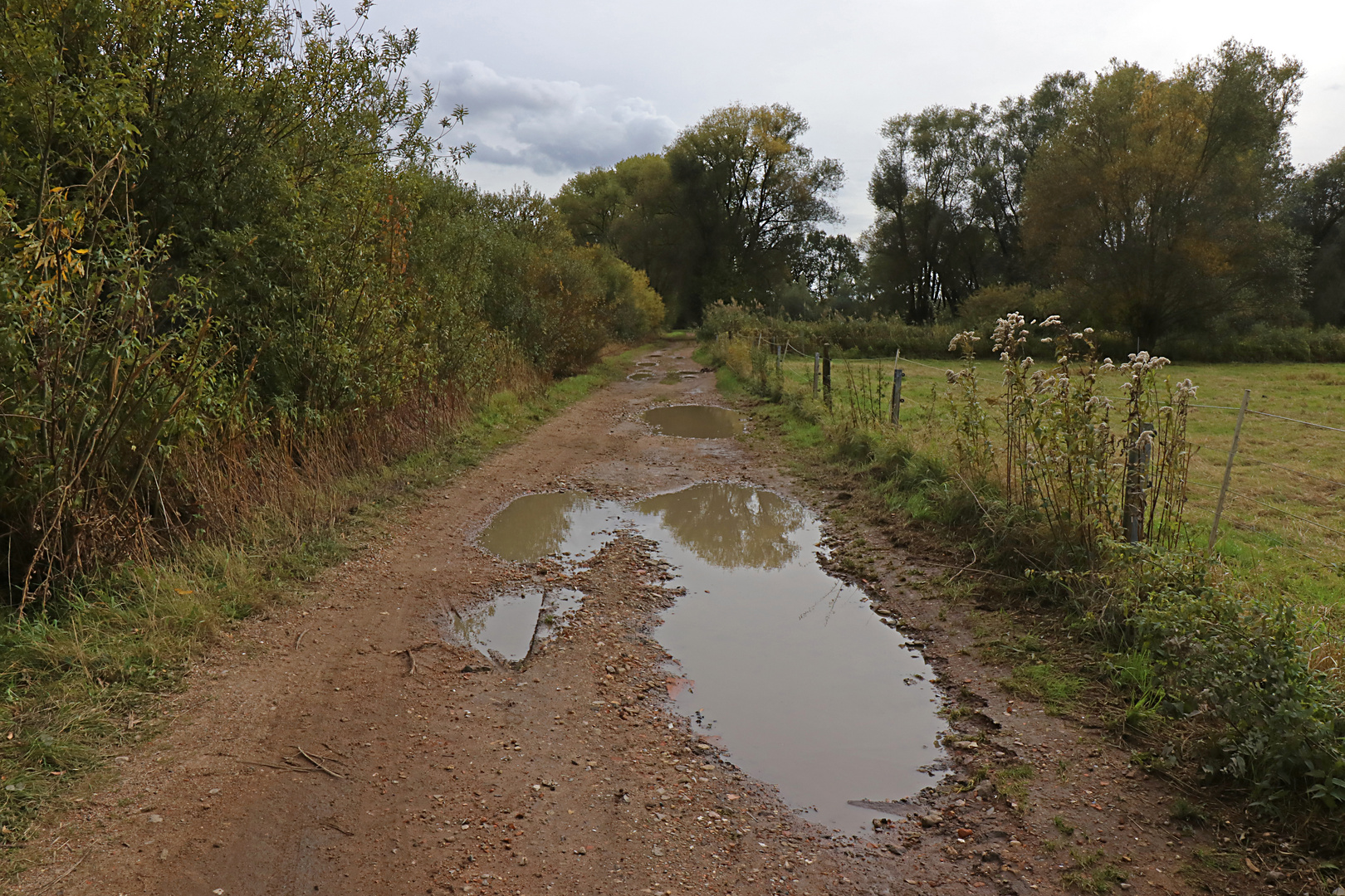 Weg mit Pfützen