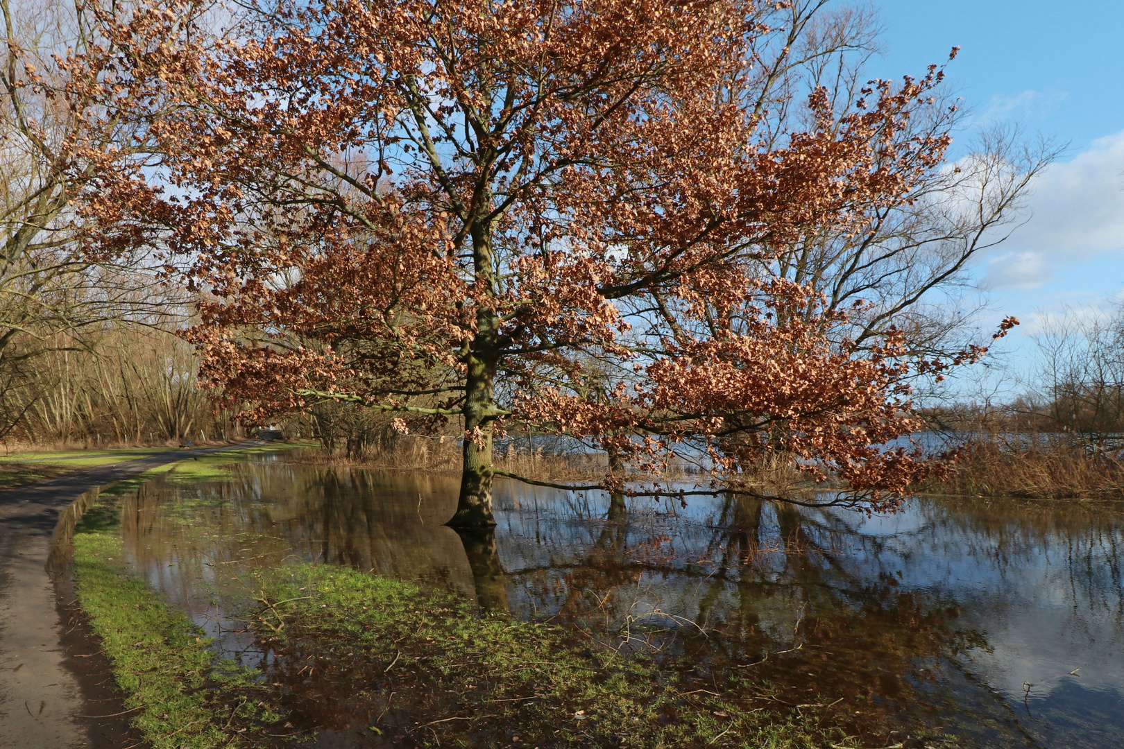 Weg mit Uferwiese