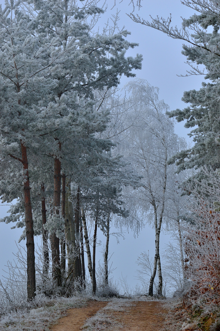 Weg nach Binkenhof