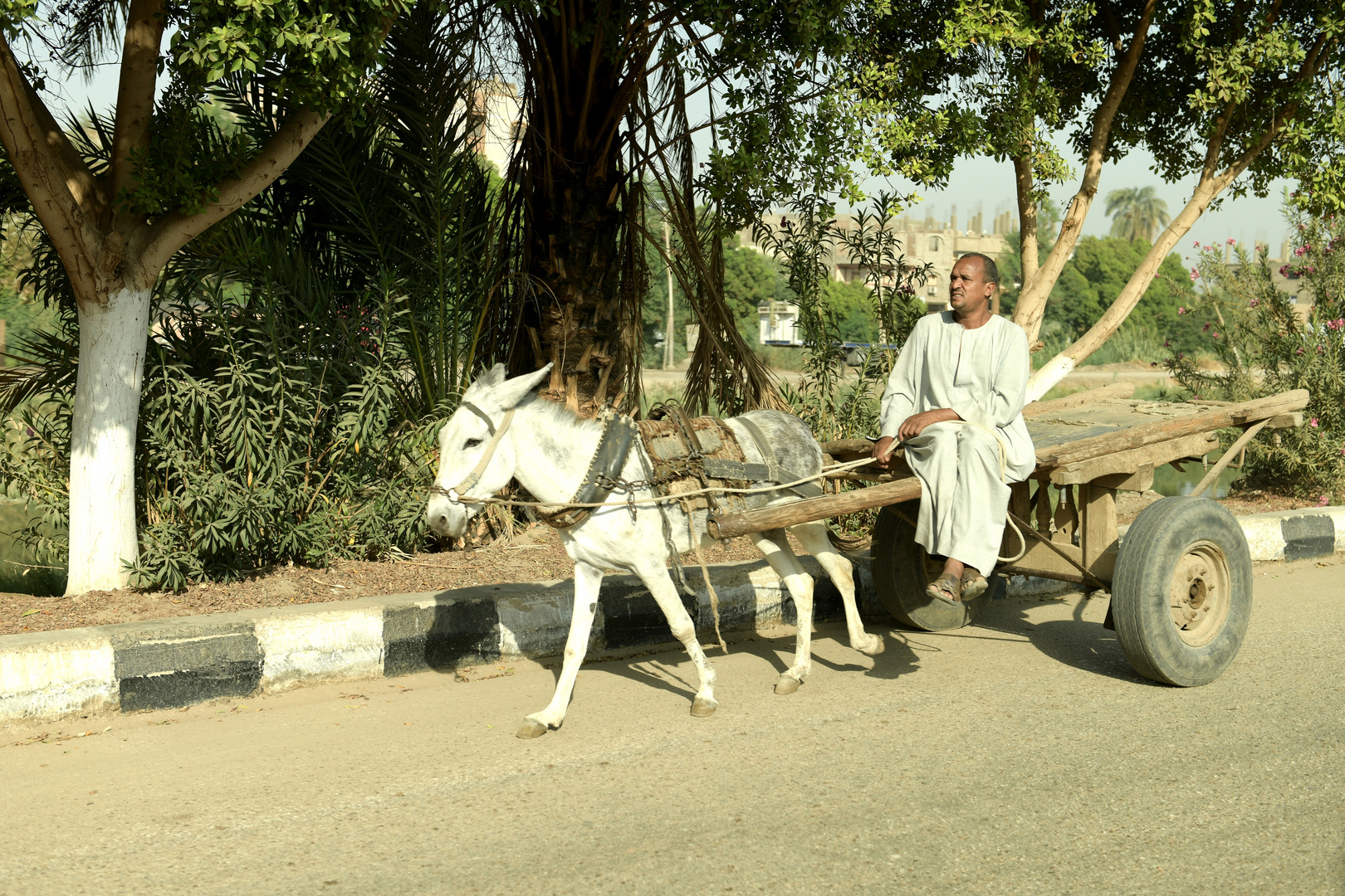 Weg nach Dendera 07