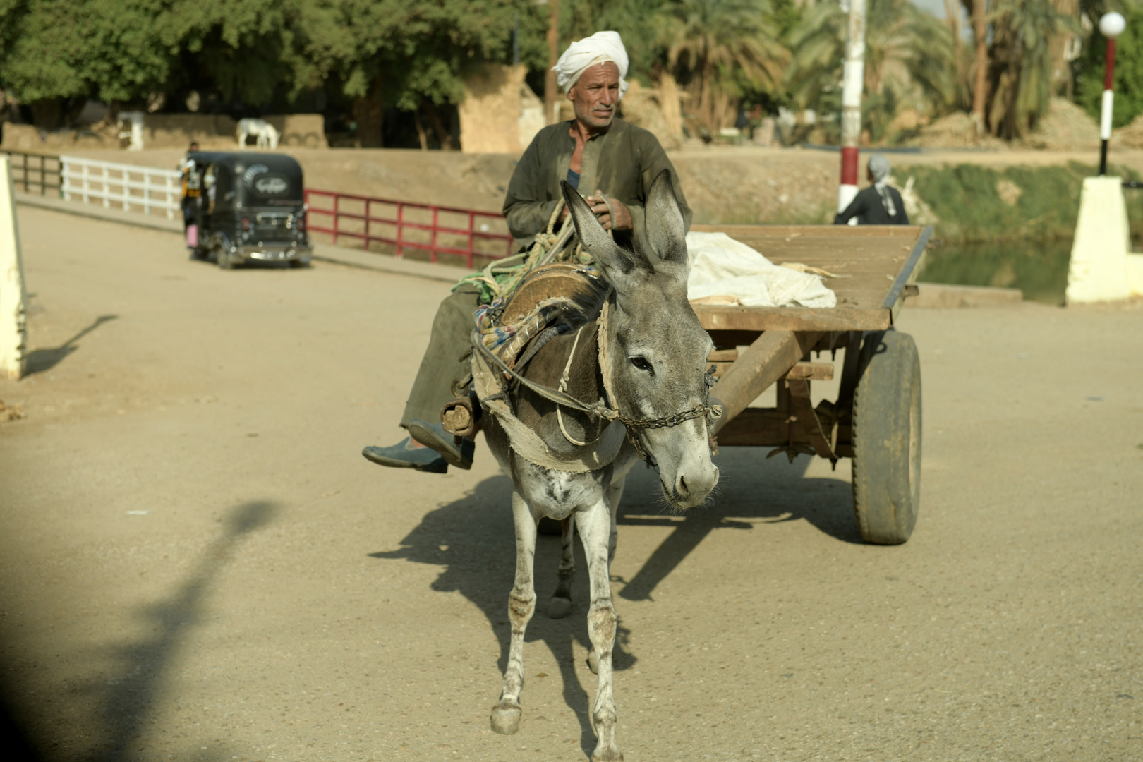 Weg nach Dendera 08