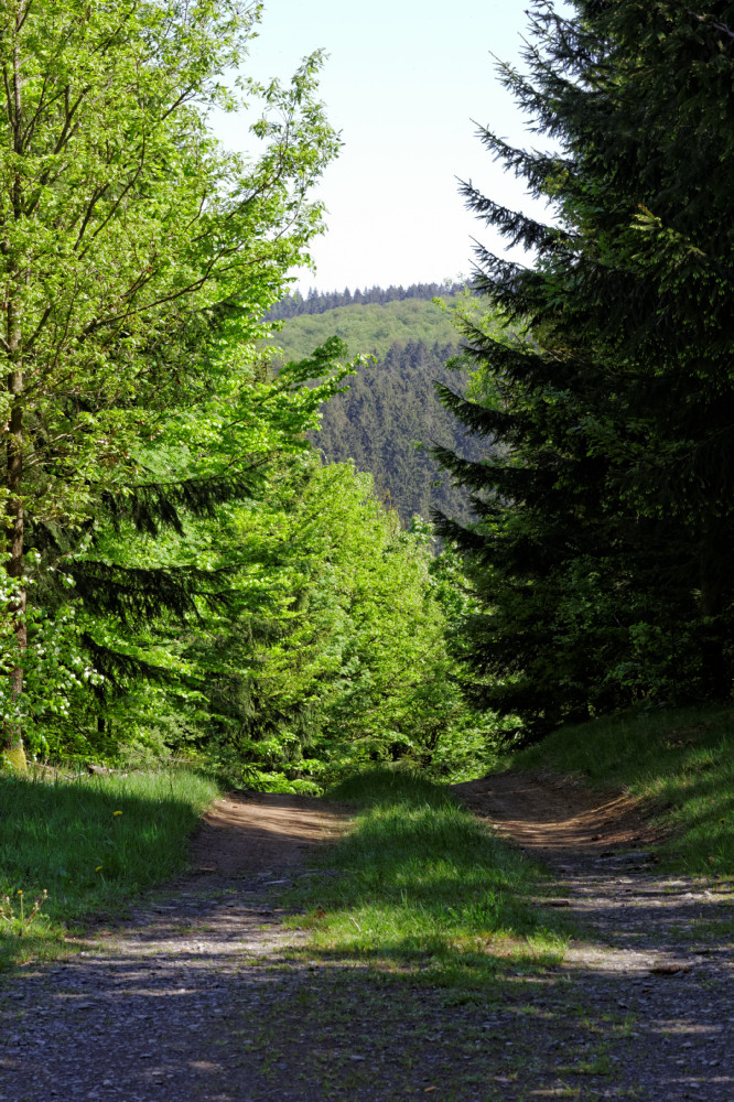 Weg nach Friesnehagen