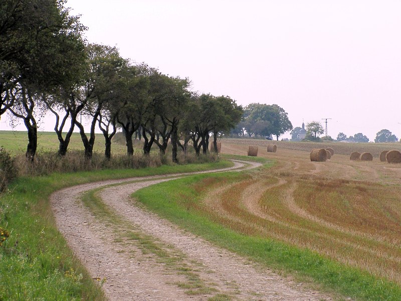 Weg nach Haufeld