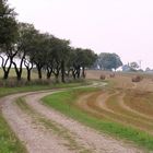 Weg nach Haufeld