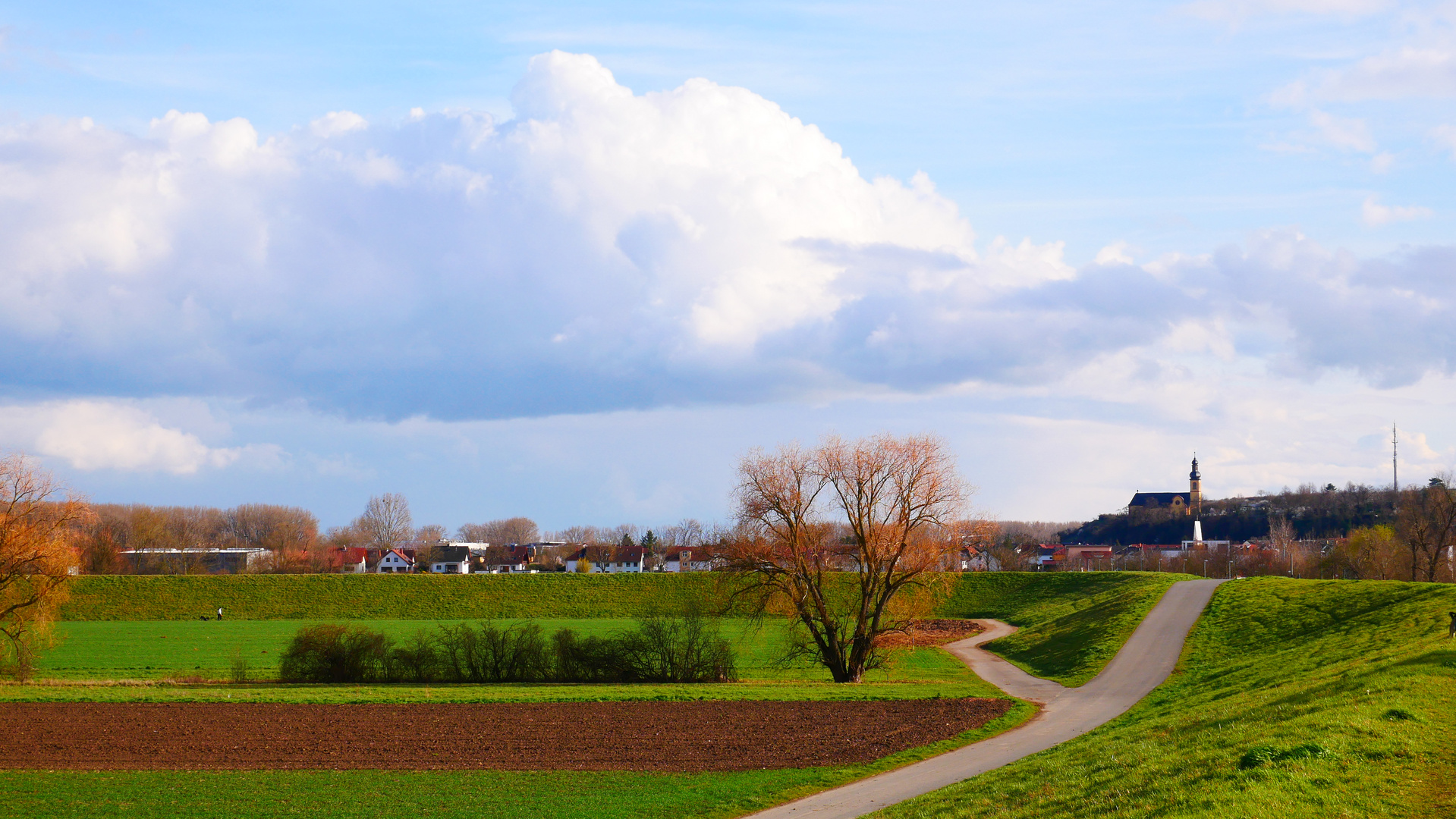 Weg nach Hause in Nackenheim 