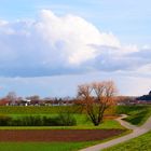 Weg nach Hause in Nackenheim 